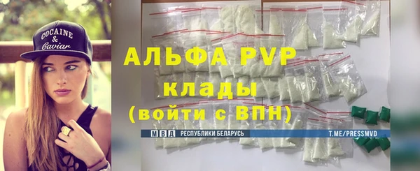 мдпв Инта