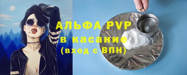 мдпв Инта