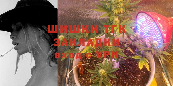 тгк Иннополис