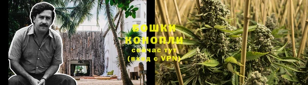 мдпв Инта