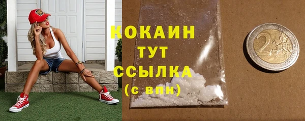 мдпв Инта