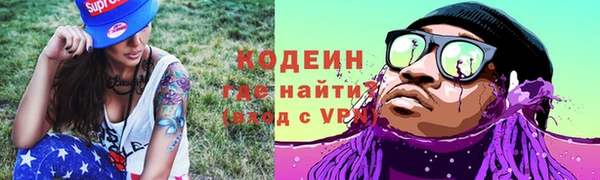 мдпв Инта