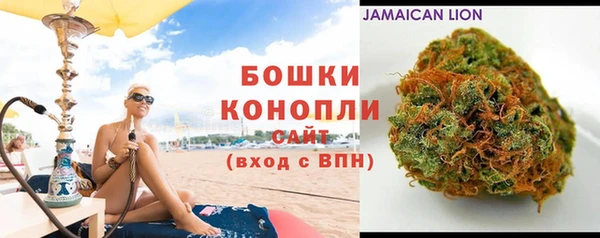 мдпв Инта