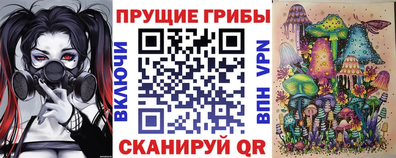 Купить где  Донской  Псилоцибиновые грибы Psilocybine cubensis 